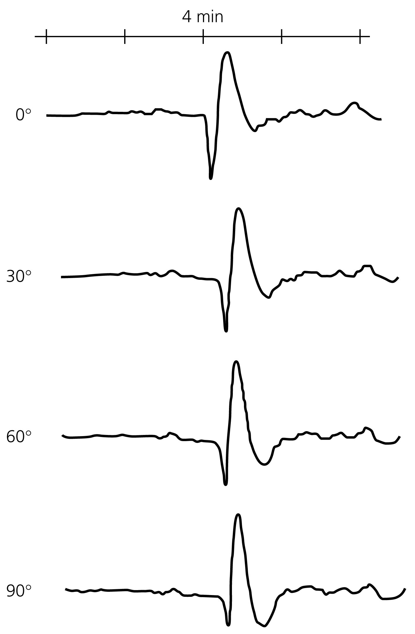 Chapter 2: Basic Seismological Theory